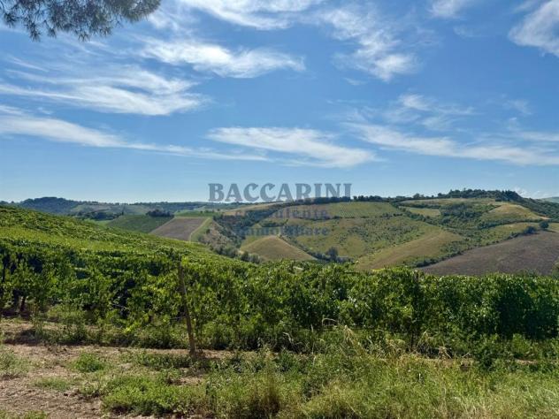 PODERE AGRICOLO CON CAPANNONE - BRISIGHELLA - FAENZA - VIA AGELLO E SANDRONA - Foto 16