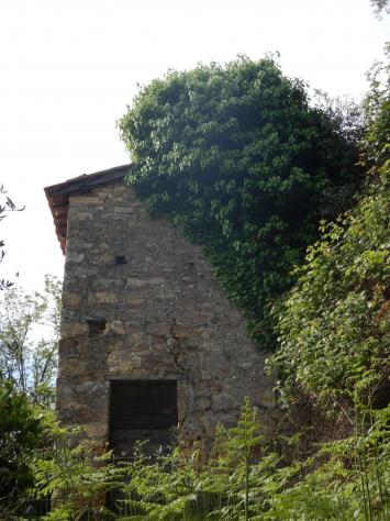 Terreno agricolo in vendita a Ruota - Capannori 1500 mq Rif: 1258452 - Foto 9