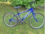 Bici Nuzzi Ragazzo ruota 24