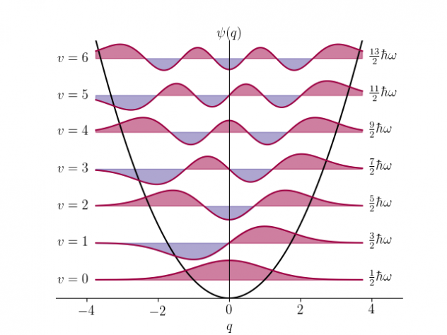 Ripetizioni di Matematica e Fisica