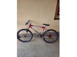 Mountain bike Cup's