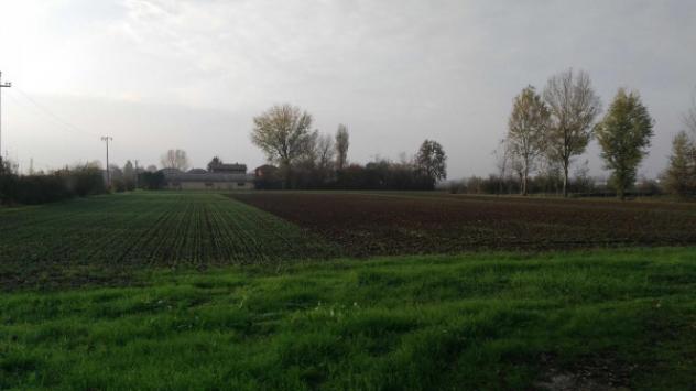 Villa di 600 m² con più di 5 locali in vendita a Soliera - Foto 3