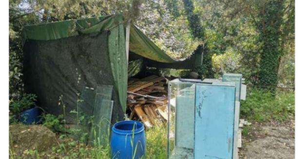 Immobile in asta di 6 m² in vendita a San Casciano in Val di Pesa - Foto 3