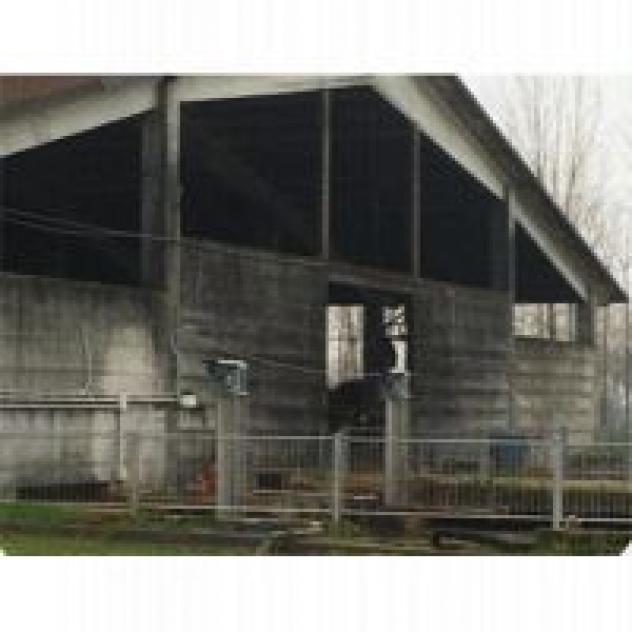 Impresa Edile Taglietti - Foto 2
