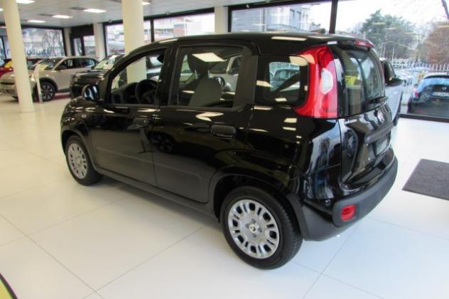 FIAT Panda 1.0 FireFly 70cv S&S Hybrid ICON KMZERO rif. 23795595 - Foto 4