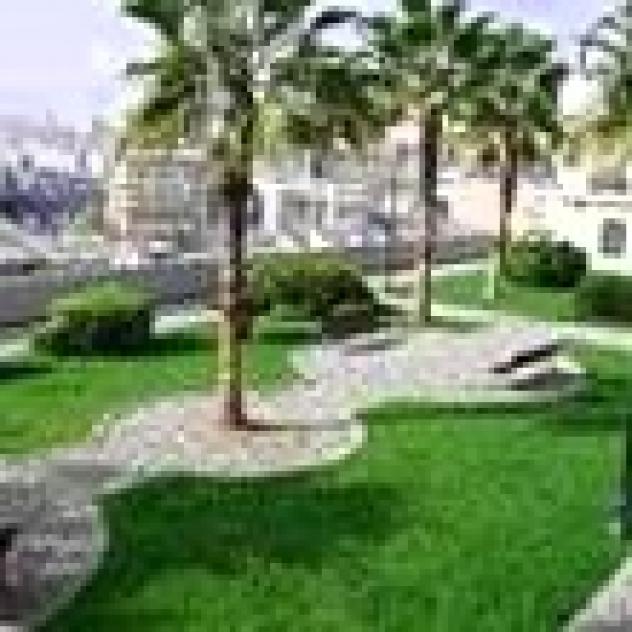 Bed And Breakfast Domitilla - Foto 4