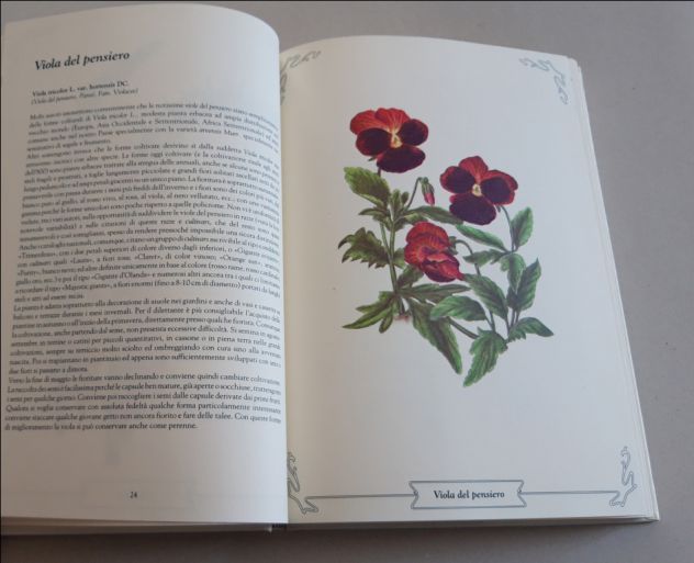 Ditelo con i fiori - Foto 4