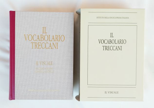 Il visuale. Italiano, francese, inglese e spagnolo.Ediz.illustrata Treccani,2008 - Foto 2