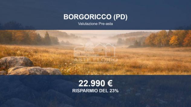 Immobile in asta di 3734 m² in vendita a Borgoricco