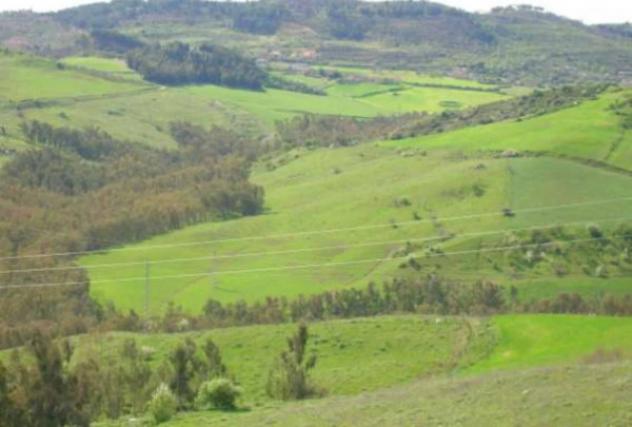 Immobile in asta di 45870 m² in vendita a Nissoria - Foto 4