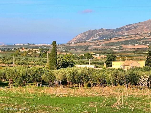 Uliveto in vendita a Valderice