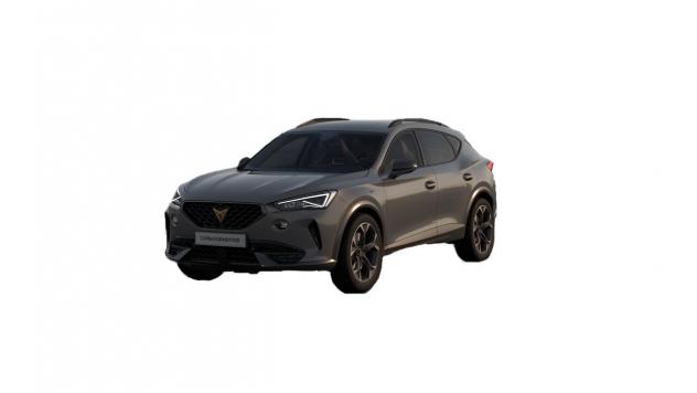CUPRA Formentor 2.0 tdi 4drive 150cv dsg