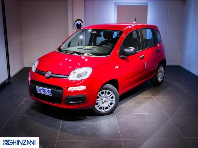 FIAT Panda Panda 1.0 FireFly S&S Hybrid Icon - "PREZZO VERO" - Foto 3