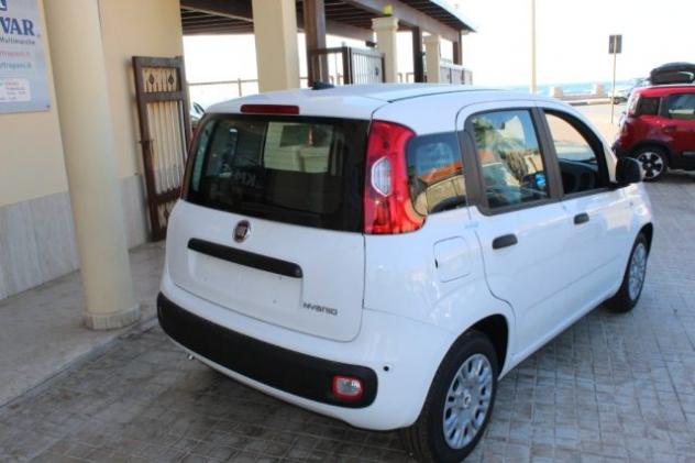 FIAT Panda 1.0 PANDINA Hybrid Icon-KM0 rif. 23895157 - Foto 5