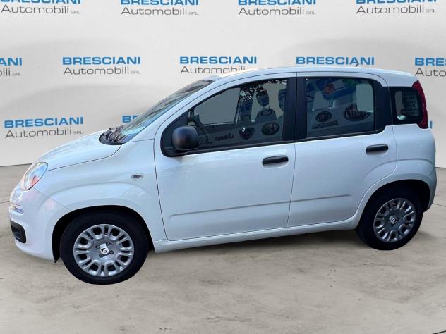 FIAT Pandina 1.0 FireFly 65cv S&S 6m Hybrid Pop - Foto 4