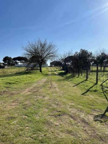 Terreno Agricolo - Terracina . Rif.: Cod. rif 3144840VCG - Foto 9