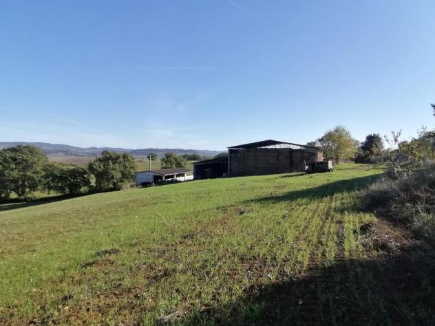 Casale in vendita a Saturnia - Manciano 200 mq Rif: 1171871