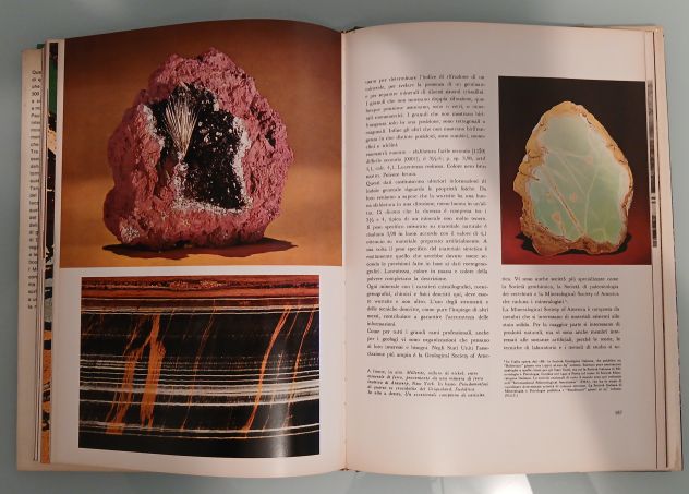 I MINERALI di Paul E. Desautels, Mondadori 1972. - Foto 8