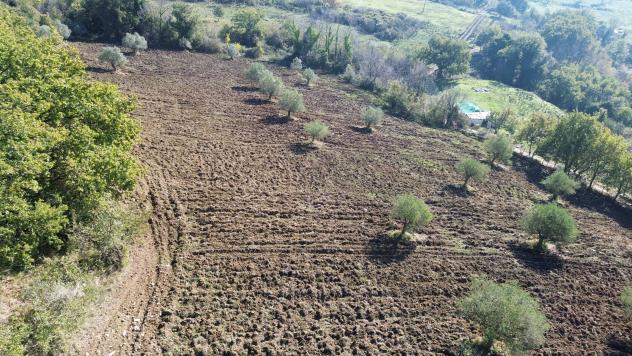 Agricolo in Via Fontanelle - Foto 8
