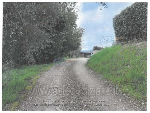IMMOBILI-IMMOBILE RESIDENZIALE-Loc. Comeana, via Mortelle 7 - Foto 3