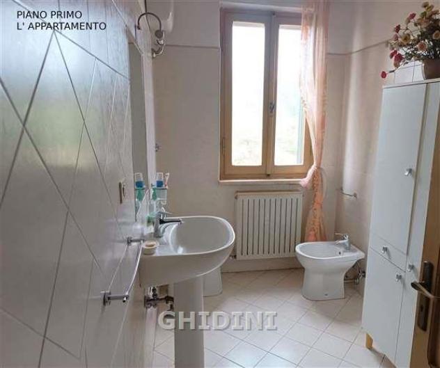 AZIENDA AGRICOLA di 10 vani e di 350 mq (CIVITELLA PAGANICO - PAGANICO) rif. 2571.300M. - Foto 20