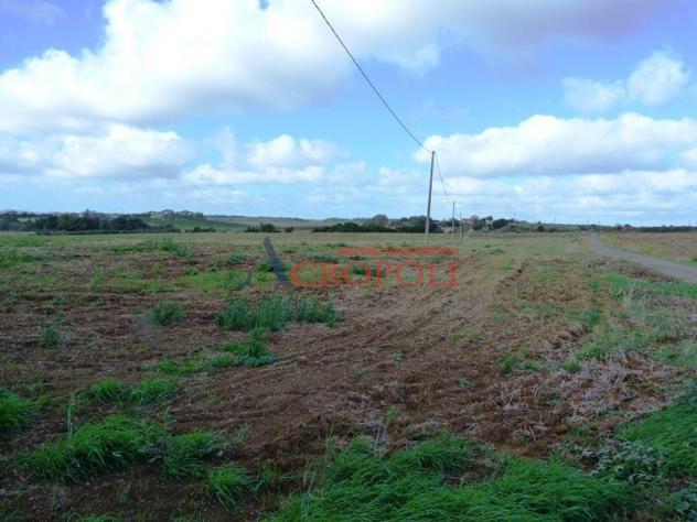 VIA CASALE DI SPANORA - CASA RURALE E TERRENO AGRICOLO IN VENDITA - Foto 7