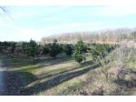 Terreno agricolo in vendita a Larciano 86038 mq  Rif: 874794