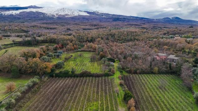 Terreno Edificabile in vendita a Randazzo, Montelaguardia - Foto 3