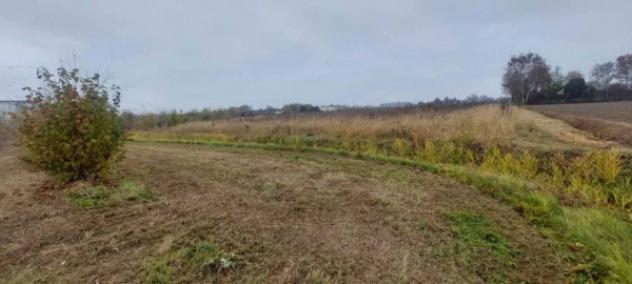Immobile in asta di 64986 m² in vendita a San Donà di Piave - Foto 4