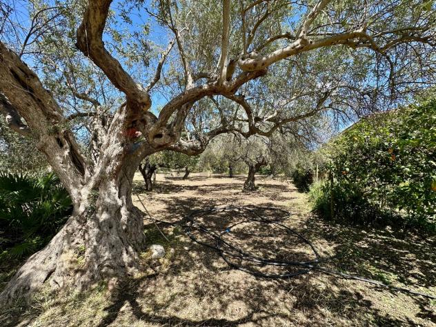 Villa o villino in vendita a Chiaramonte Gulfi - Foto 6
