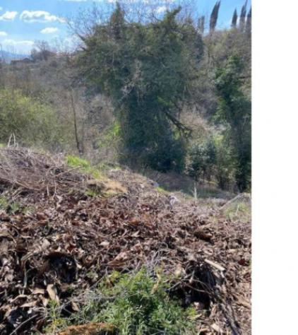 Immobile in asta di 58454 m² in vendita a Montefiascone - Foto 10