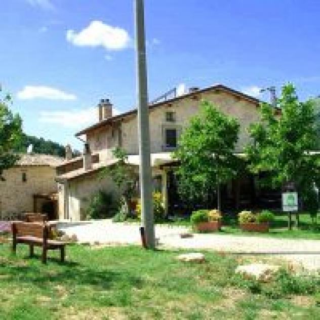 Societa' Agricola Pian D'Angelo di Damiani Paola e C. S.a.s. - Foto 4