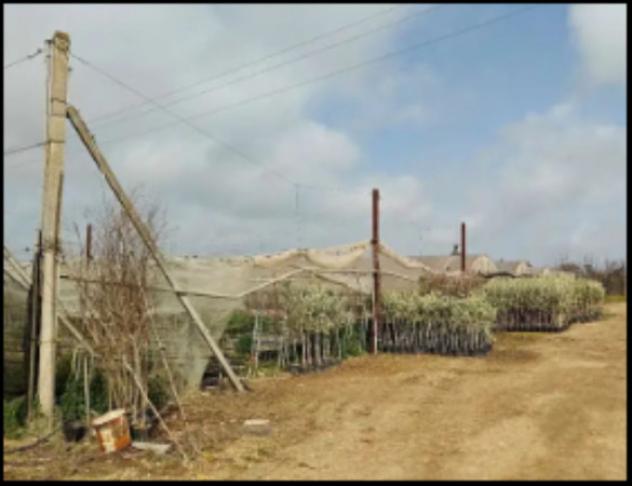 Immobile in asta di 900 m² con più di 5 locali in vendita a Gioia del Colle - Foto 5