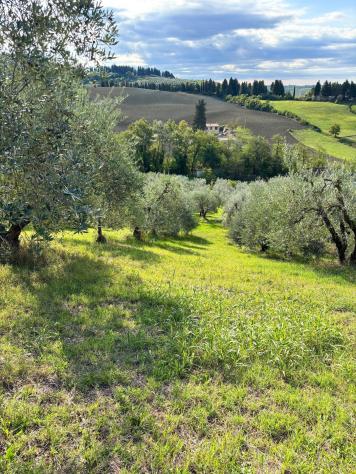Terreno agricolo in vendita a Martignana - Empoli 5300 mq Rif: 1351258 - Foto 5