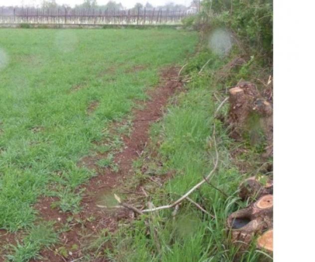 Immobile in asta di 13090 m² in vendita a Paese - Foto 3
