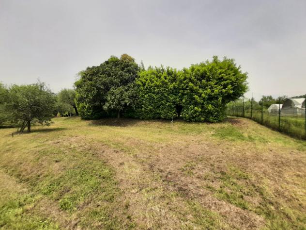 Terreno Agricolo - Roè Volciano . Rif.: 001 TA Trobiolo - Foto 5