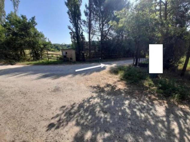 Immobile in asta di 188615 m² in vendita a Castelnuovo Berardenga - Foto 8