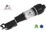 Sospensione ammortizzatore pneumatica mercedes cls 219 2193201113