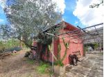 Uliveto in vendita a Marcellina