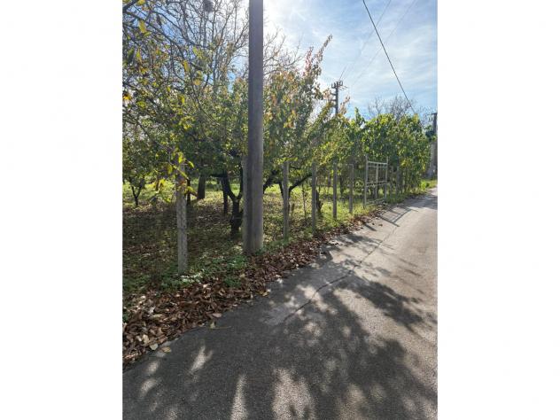 Agricolo in Via Cinquevie - Foto 4