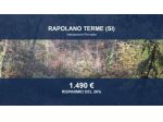 Immobile in asta di 9190 m² in vendita a Rapolano Terme