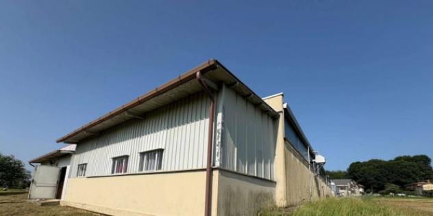 Immobile in asta di 2435 m² in vendita a Cassacco - Foto 3