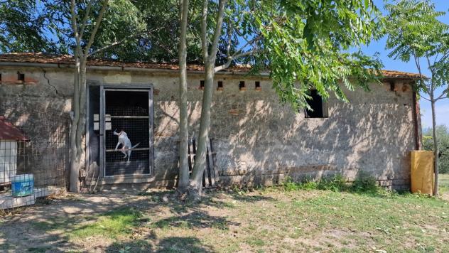 Porzione di casa in vendita a Montecastrilli - Foto 4