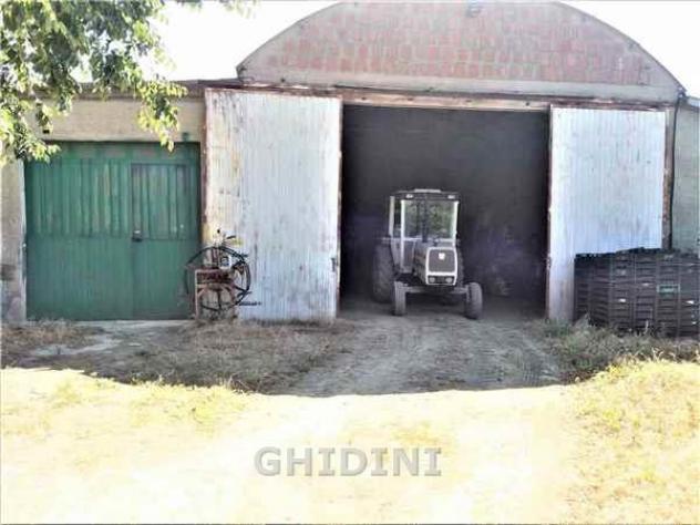 TERRENO AGRICOLO di 1 vani e di 60000 mq (GROSSETO) rif. 2210.137M - Foto 4