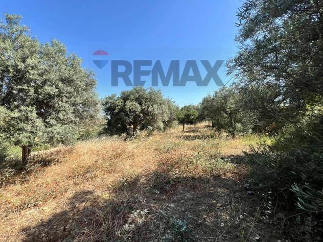 Terreno in vendita a Motta Sant'Anastasia - Foto 11