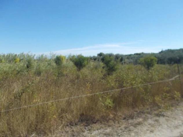 Immobile in asta di 5052 m² in vendita a Policoro - Foto 2