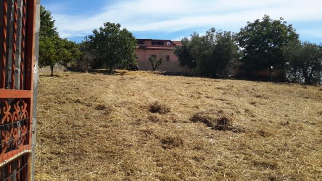 TERRENO AGRICOLO di 1300 mq (POMEZIA) rif. C/305 - Foto 18