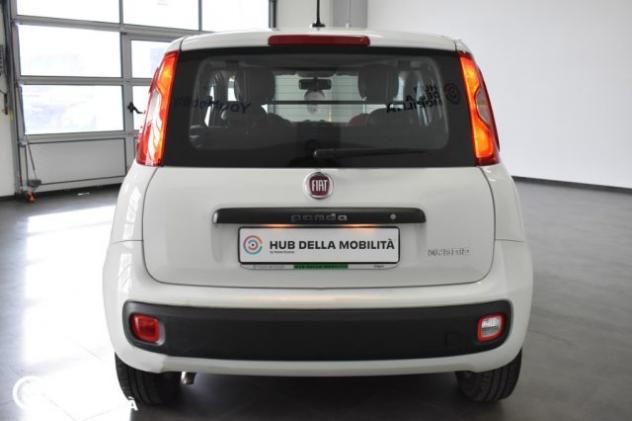 FIAT Panda 1.0 GSE S&S Hybrid Easy Van 4 posti rif. 23379170 - Foto 4