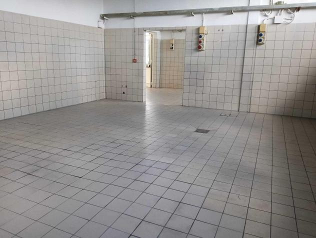 Laboratorio in affitto a Mezzana - San Giuliano Terme 215 mq Rif: 1361630 - Foto 2