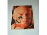 Picasso Tauromachia